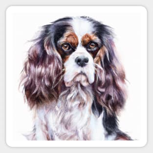 Cavalier King Charles Spaniel Watercolor - Gift For Dog Lovers Sticker